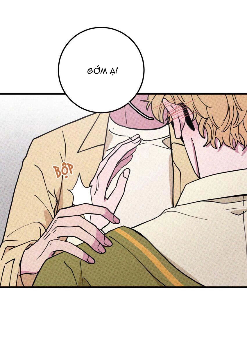 Hộp Bánh Quy Định Mệnh Chapter 16 - 30