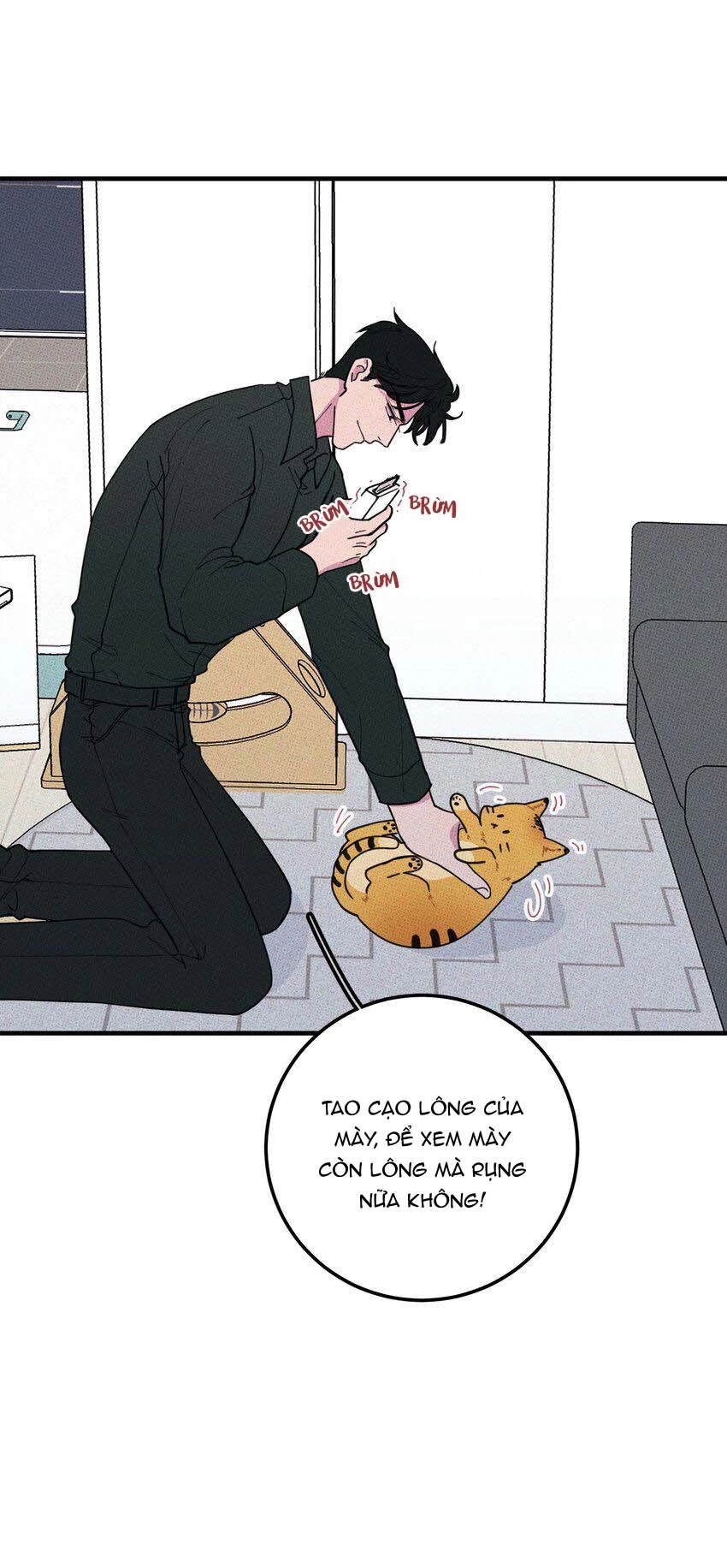 Hộp Bánh Quy Định Mệnh Chapter 17 - 4