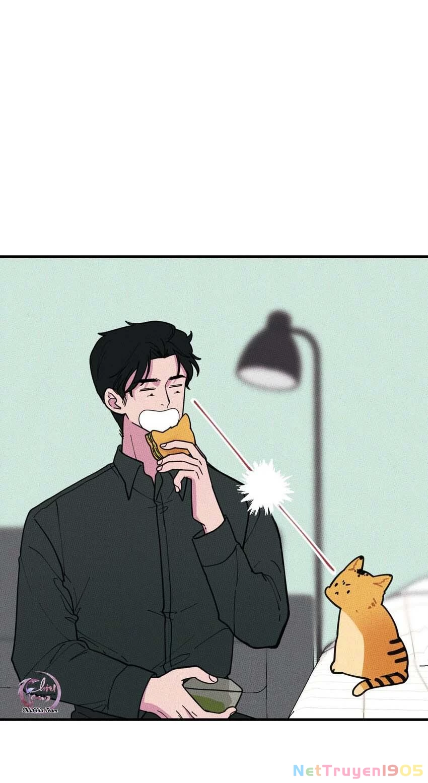 Hộp Bánh Quy Định Mệnh Chapter 17 - 12