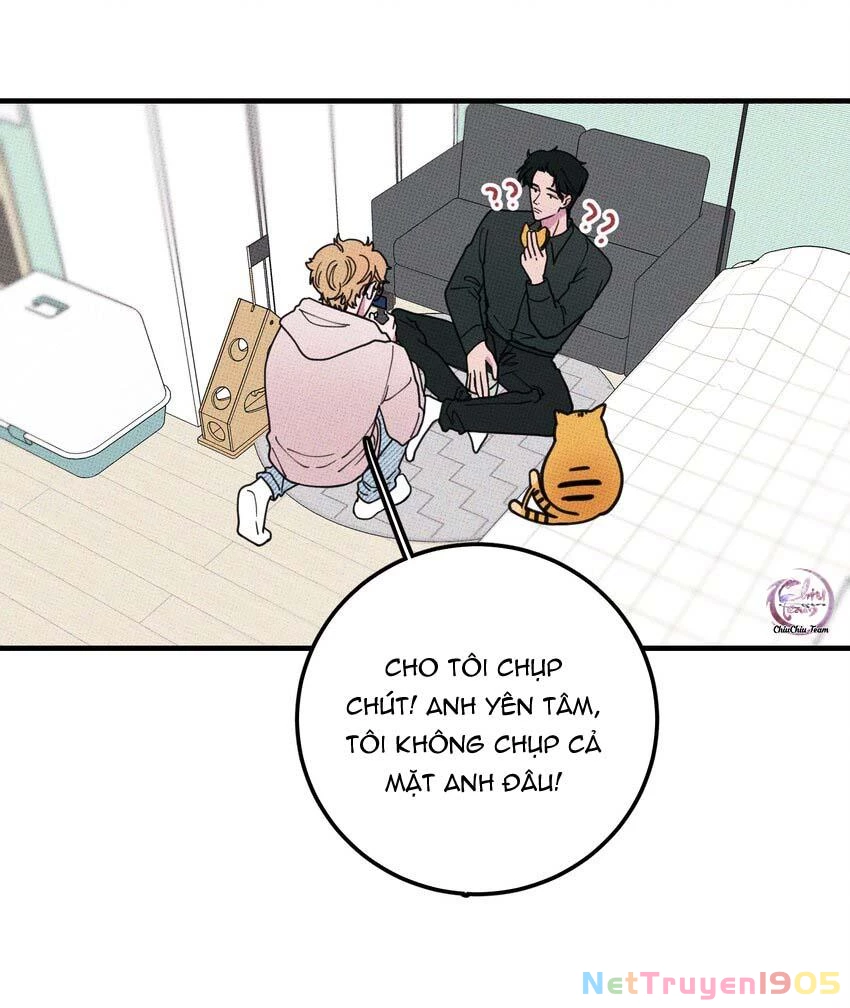 Hộp Bánh Quy Định Mệnh Chapter 17 - 14