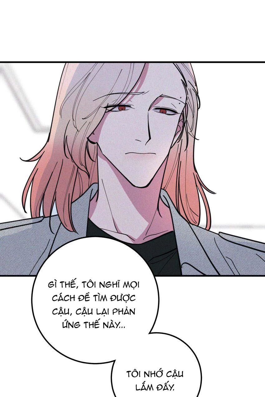 Hộp Bánh Quy Định Mệnh Chapter 17 - 29