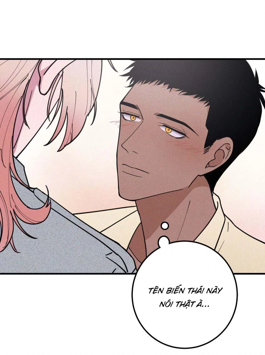 Hộp Bánh Quy Định Mệnh Chapter 17 - 31