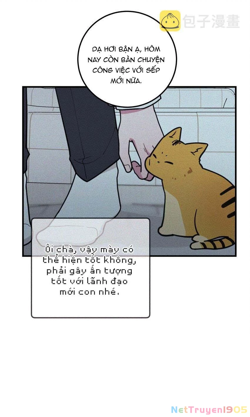 Hộp Bánh Quy Định Mệnh Chapter 18 - 36