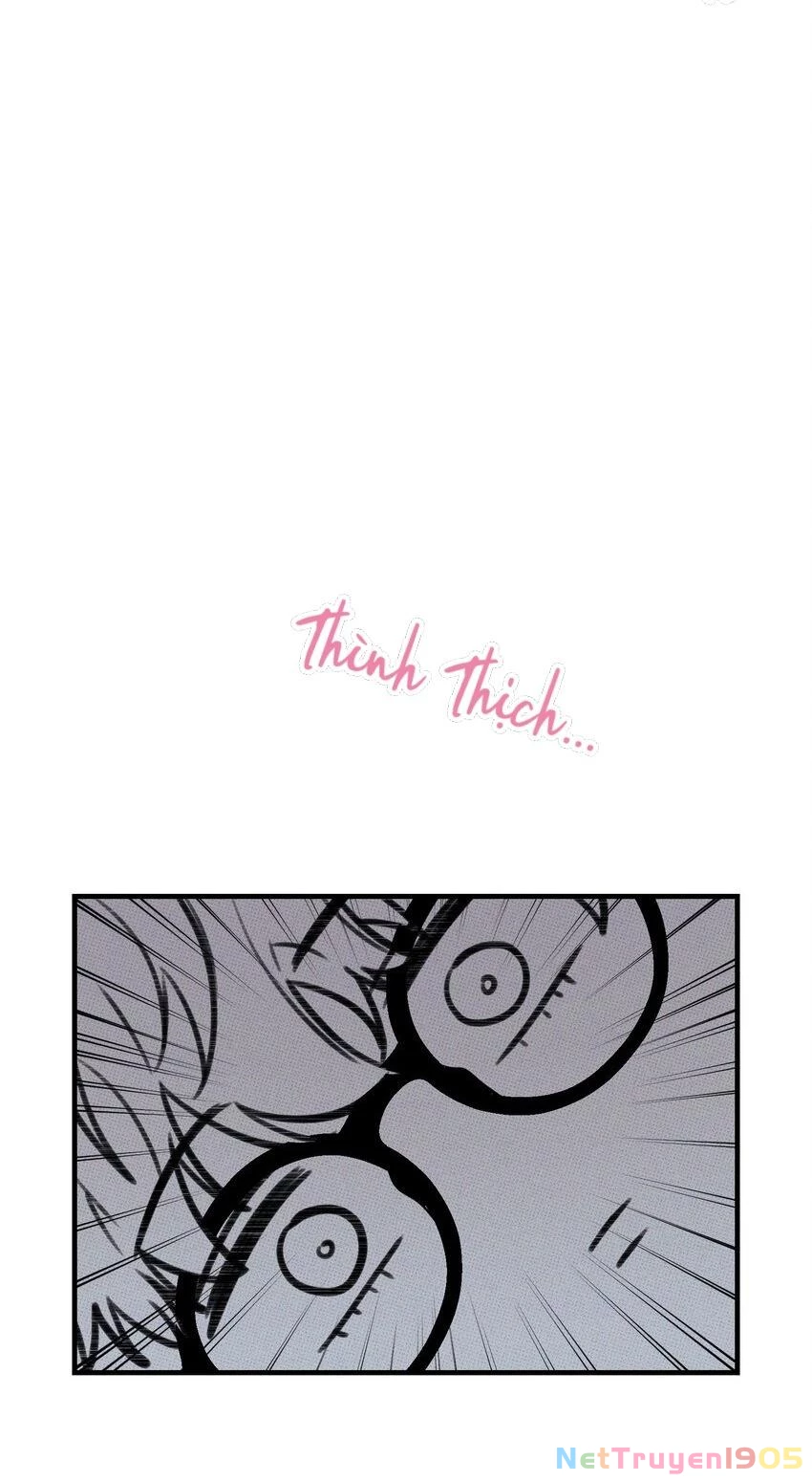 Hộp Bánh Quy Định Mệnh Chapter 19 - 21