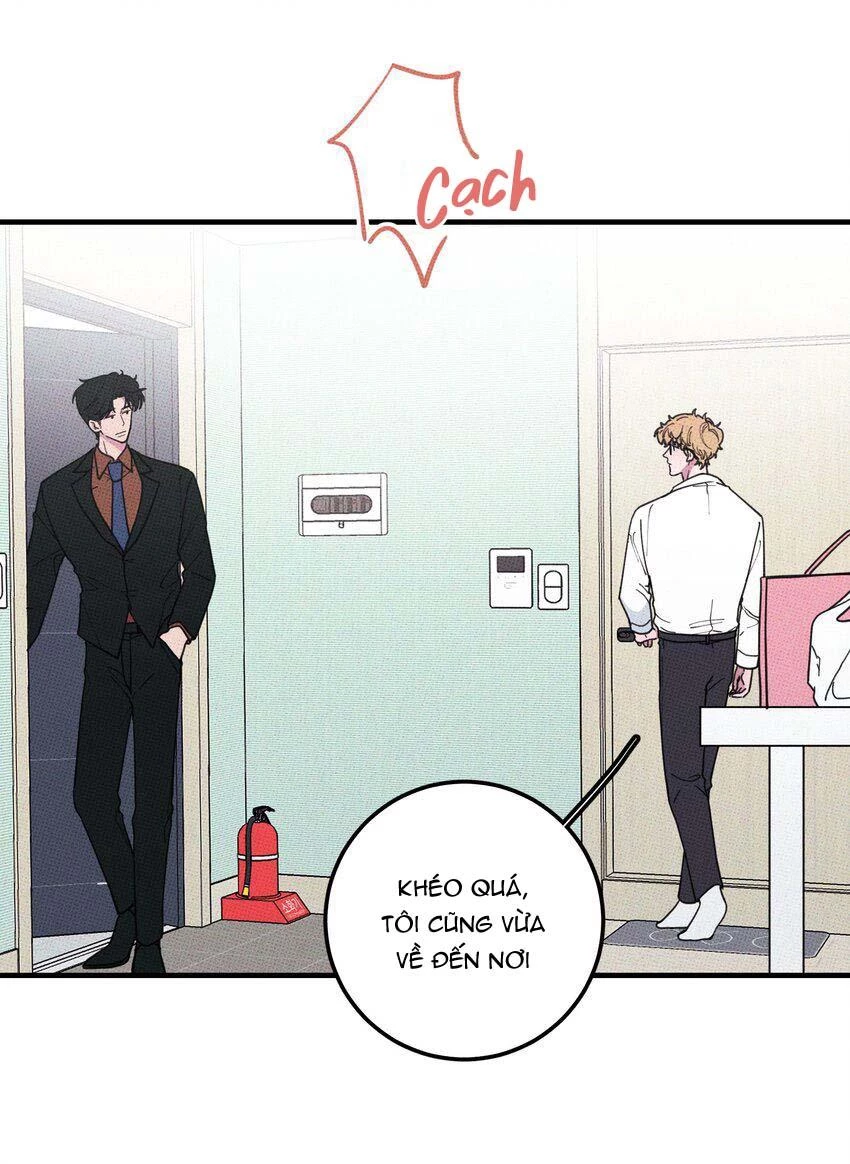 Hộp Bánh Quy Định Mệnh Chapter 20 - 19