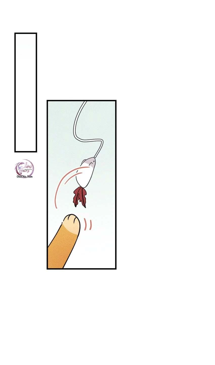 Hộp Bánh Quy Định Mệnh Chapter 20 - 40