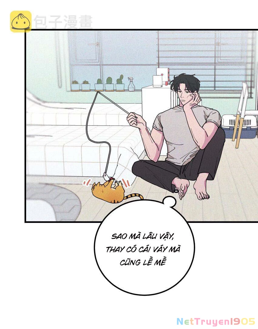 Hộp Bánh Quy Định Mệnh Chapter 20 - 41