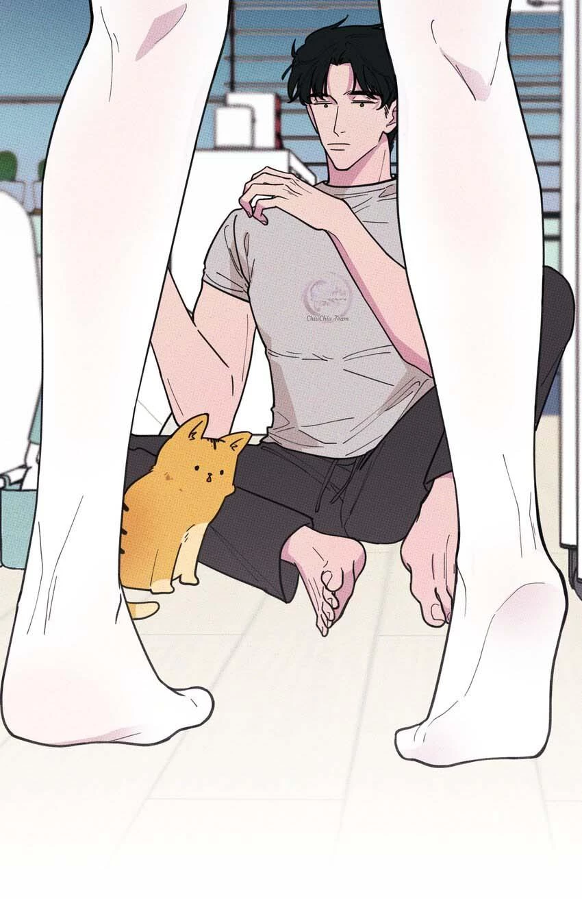 Hộp Bánh Quy Định Mệnh Chapter 20 - 43