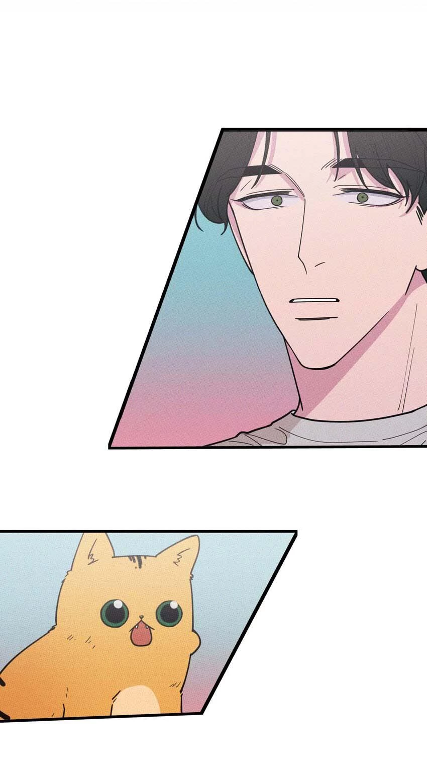 Hộp Bánh Quy Định Mệnh Chapter 21 - 3