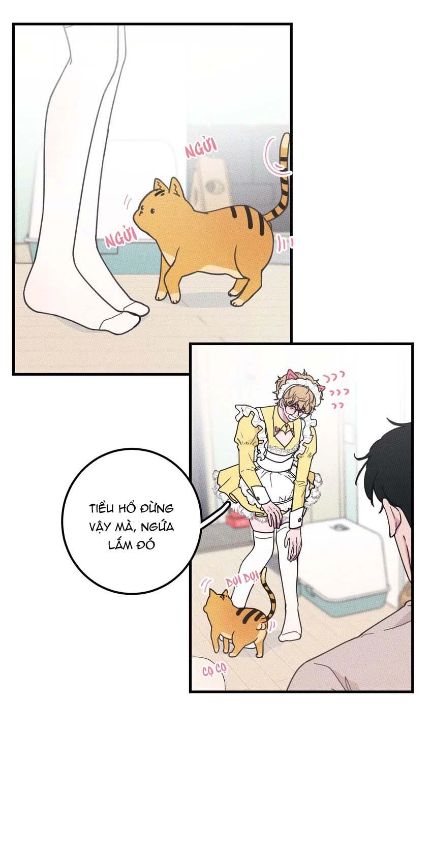 Hộp Bánh Quy Định Mệnh Chapter 21 - 5