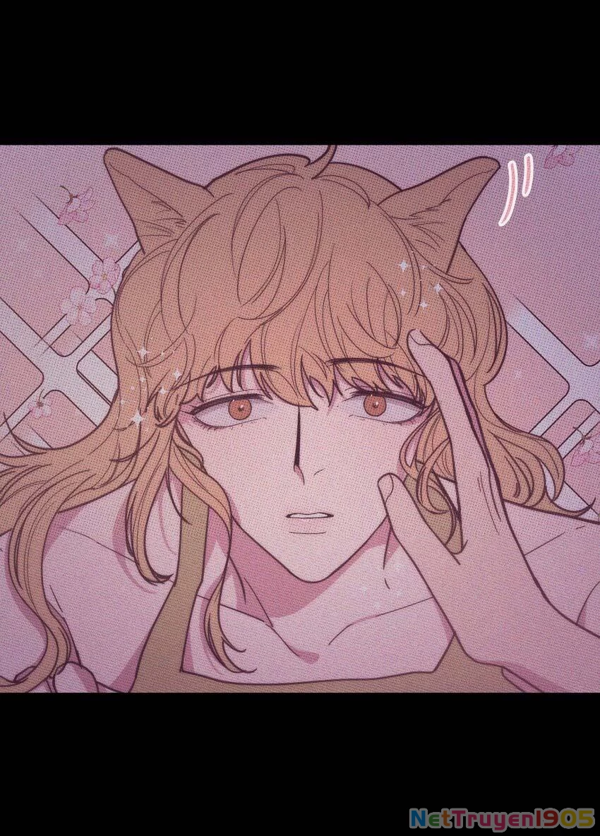 Hộp Bánh Quy Định Mệnh Chapter 21 - 7