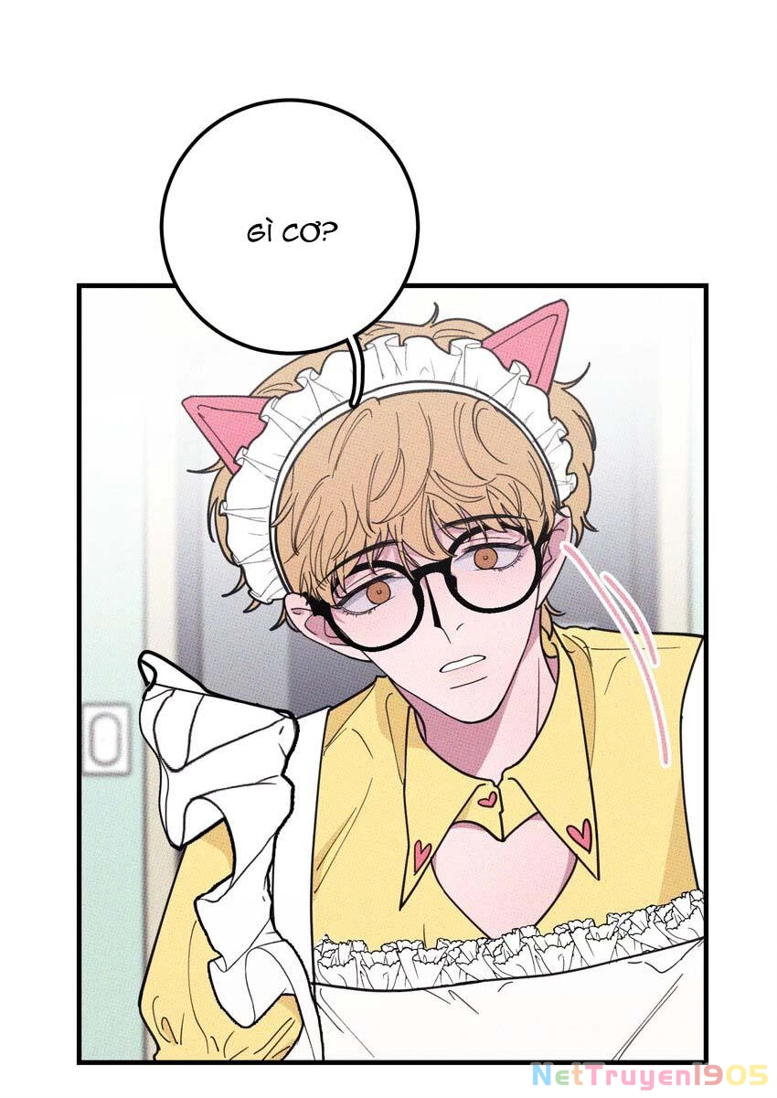 Hộp Bánh Quy Định Mệnh Chapter 21 - 13