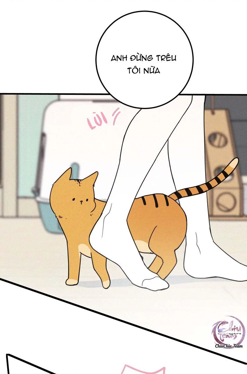 Hộp Bánh Quy Định Mệnh Chapter 21 - 14