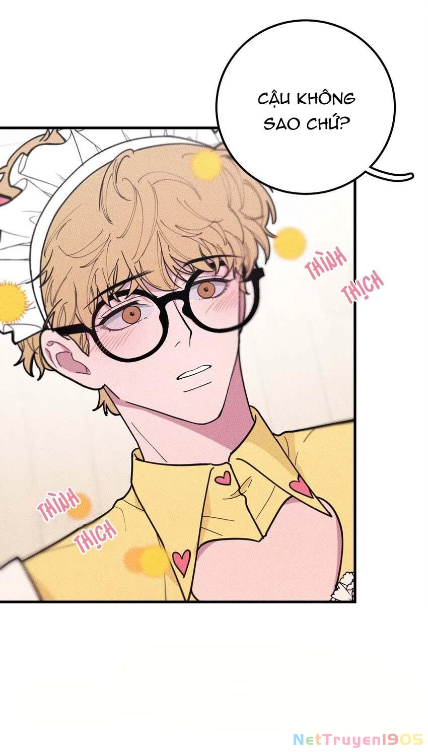 Hộp Bánh Quy Định Mệnh Chapter 21 - 19