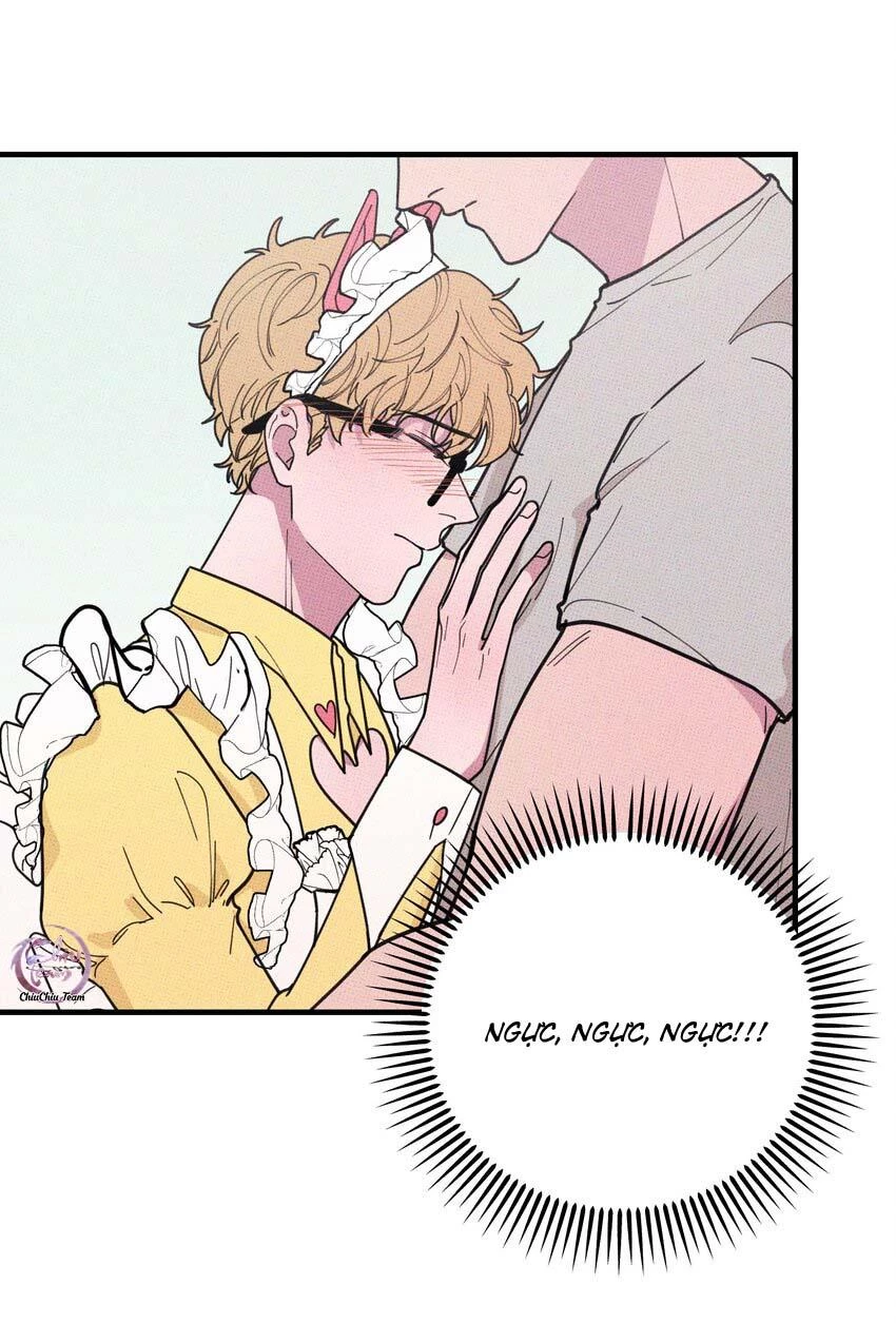 Hộp Bánh Quy Định Mệnh Chapter 21 - 26