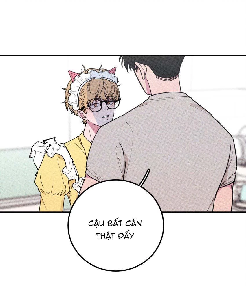 Hộp Bánh Quy Định Mệnh Chapter 21 - 30