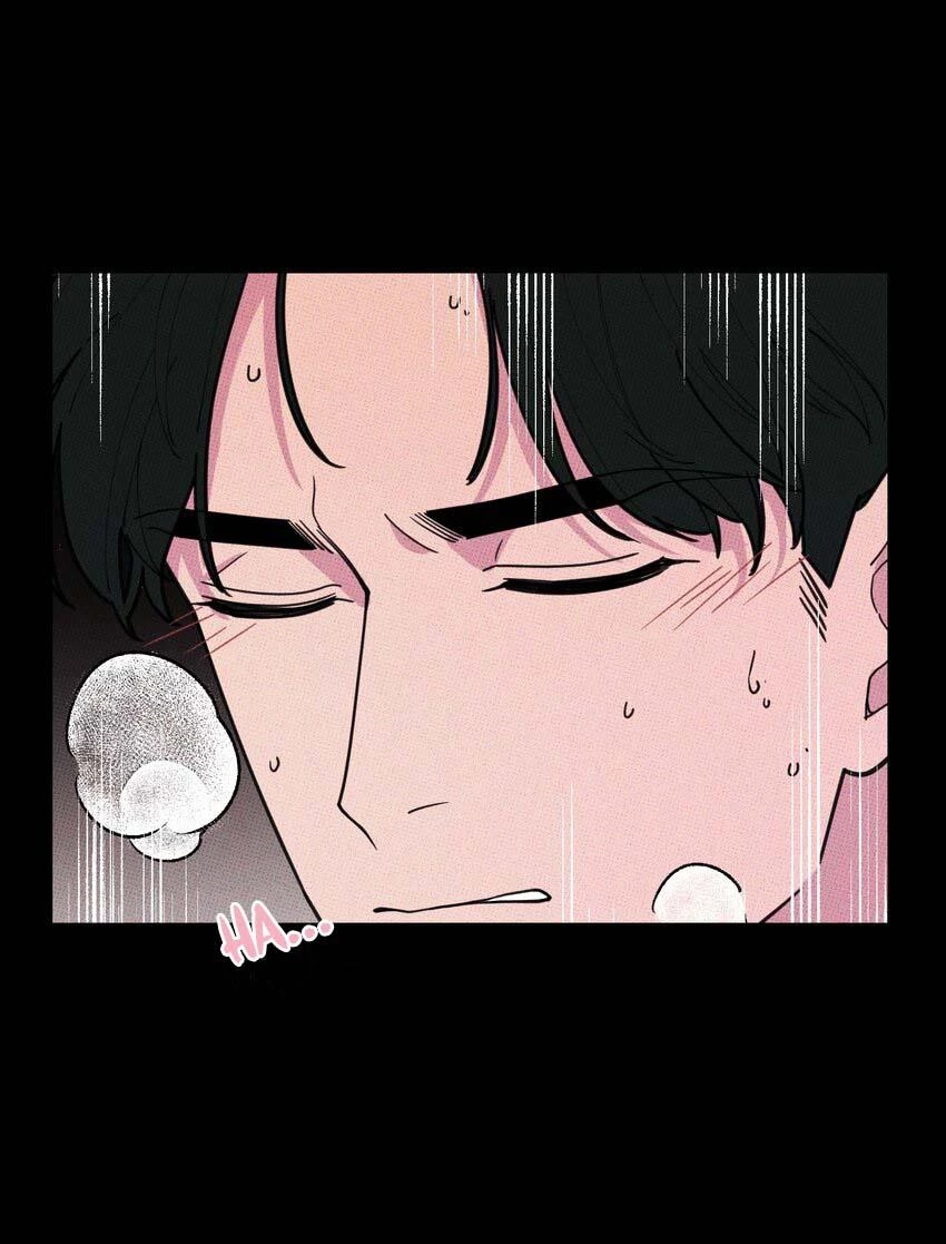 Hộp Bánh Quy Định Mệnh Chapter 21 - 42