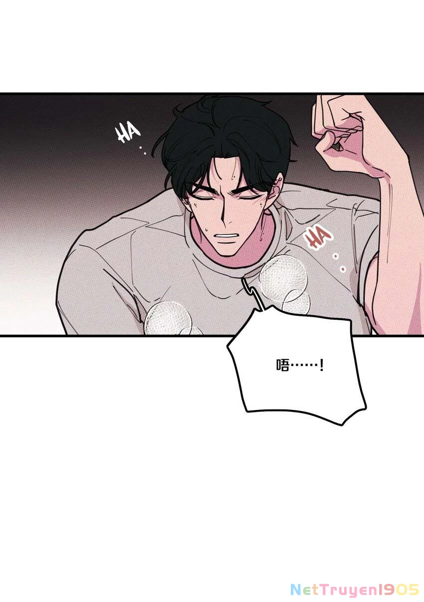 Hộp Bánh Quy Định Mệnh Chapter 21 - 45