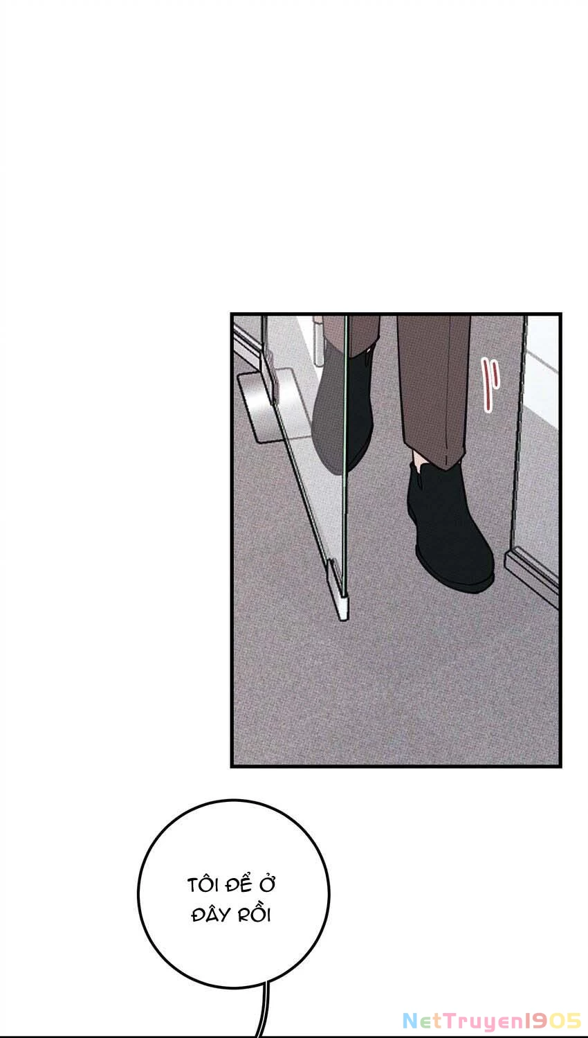 Hộp Bánh Quy Định Mệnh Chapter 22 - 34