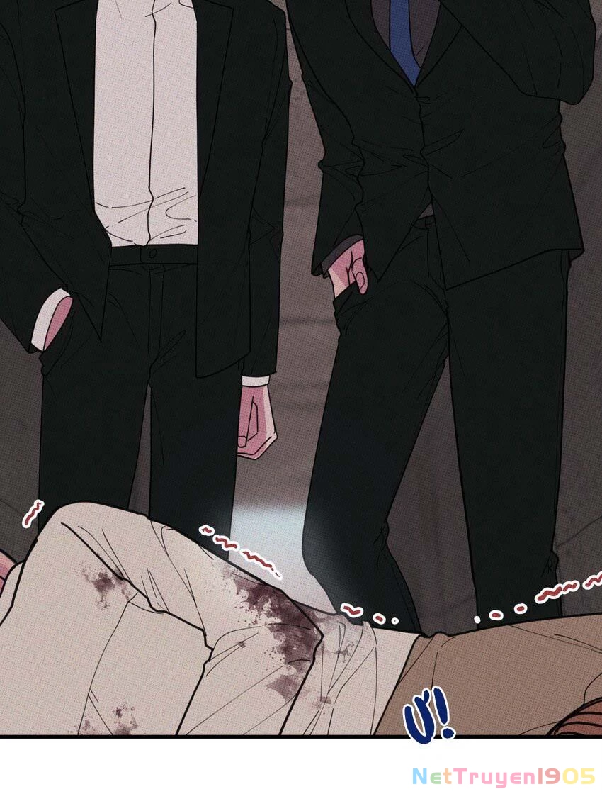 Hộp Bánh Quy Định Mệnh Chapter 23 - 14