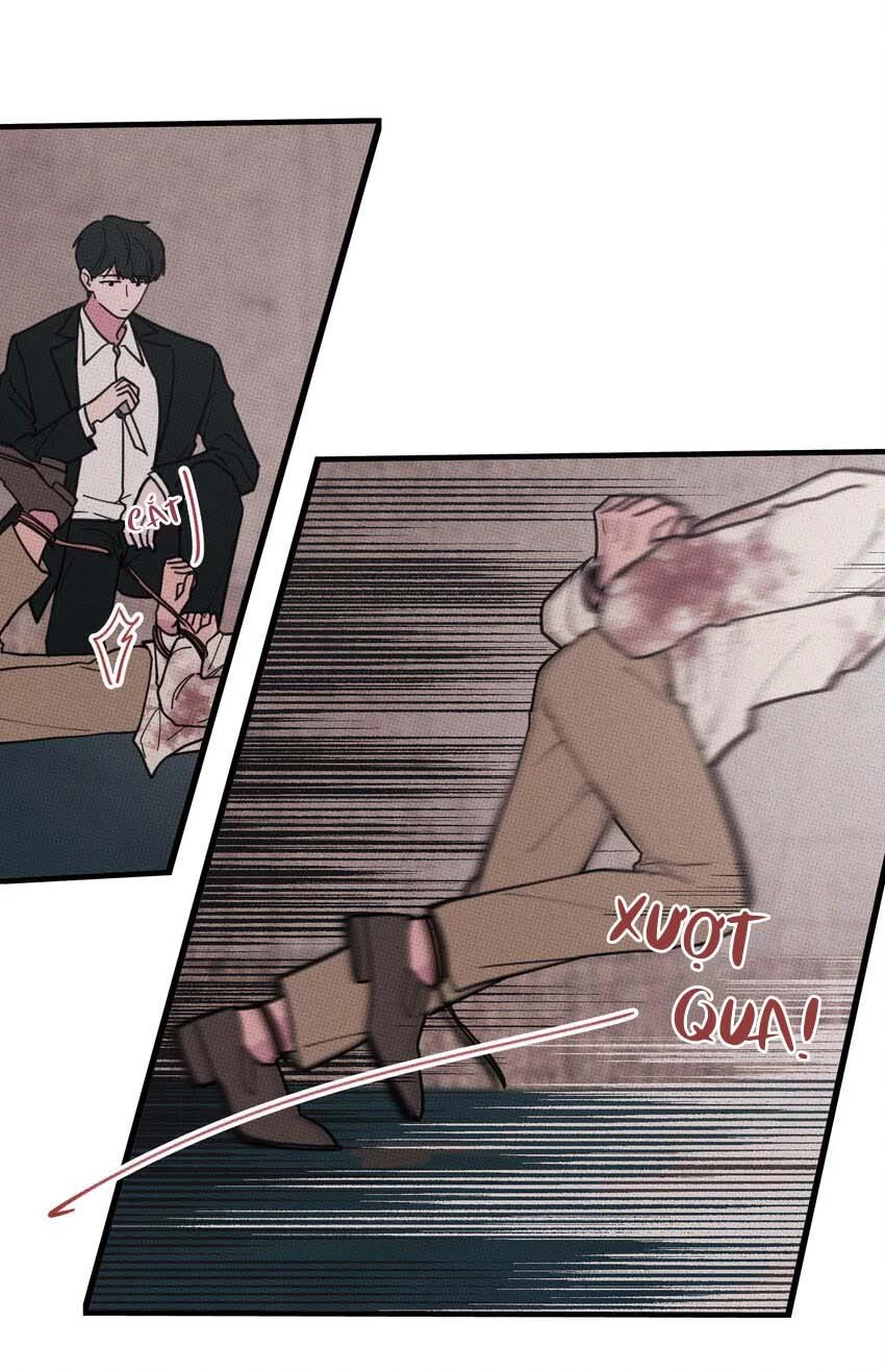 Hộp Bánh Quy Định Mệnh Chapter 23 - 24