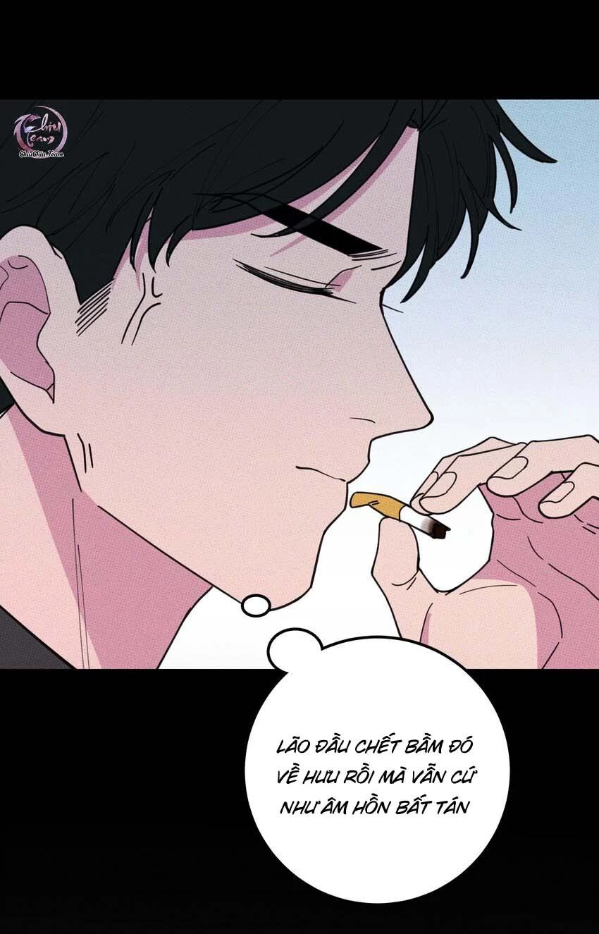 Hộp Bánh Quy Định Mệnh Chapter 23 - 30