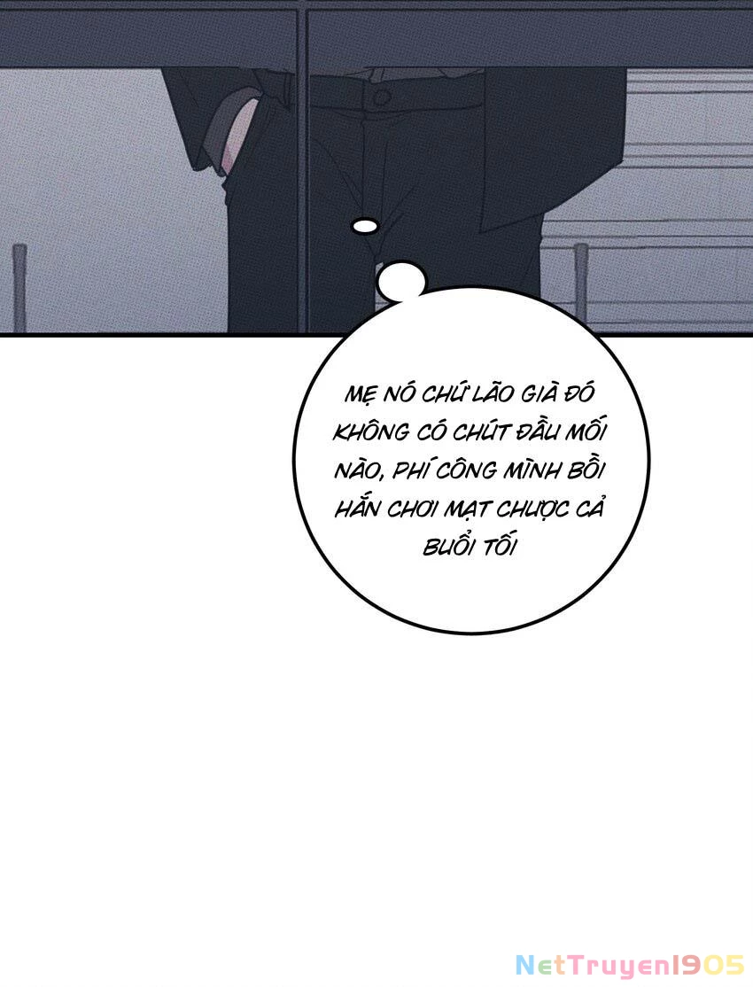 Hộp Bánh Quy Định Mệnh Chapter 24 - 27