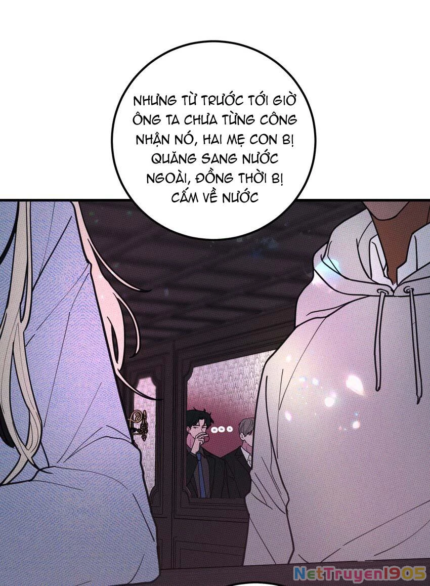 Hộp Bánh Quy Định Mệnh Chapter 25 - 24