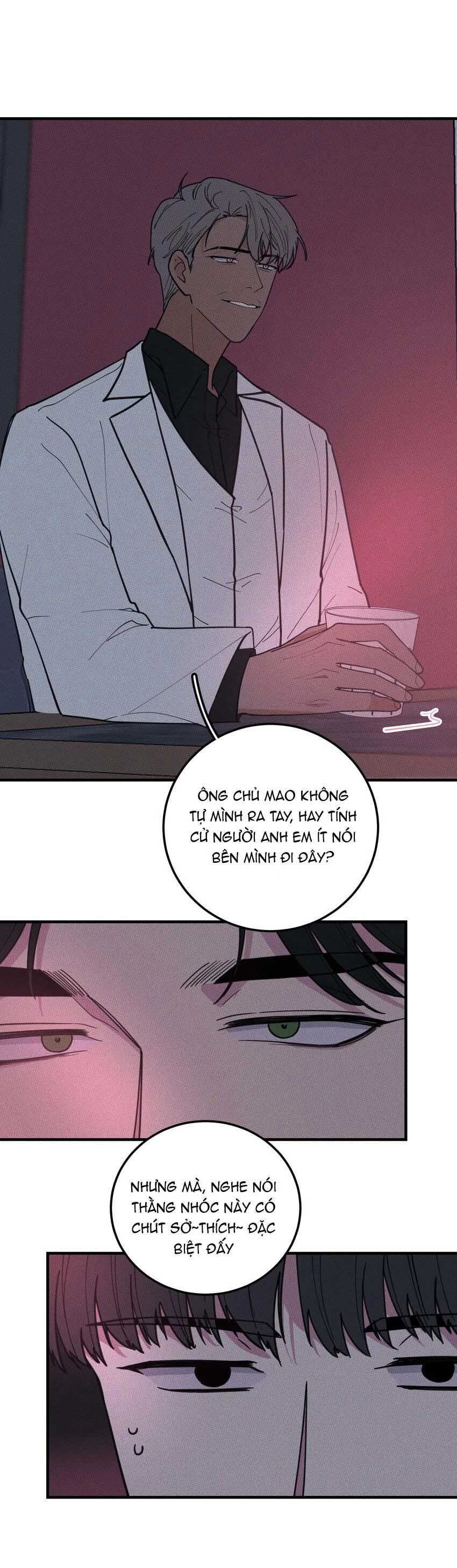 Hộp Bánh Quy Định Mệnh Chapter 25 - 28