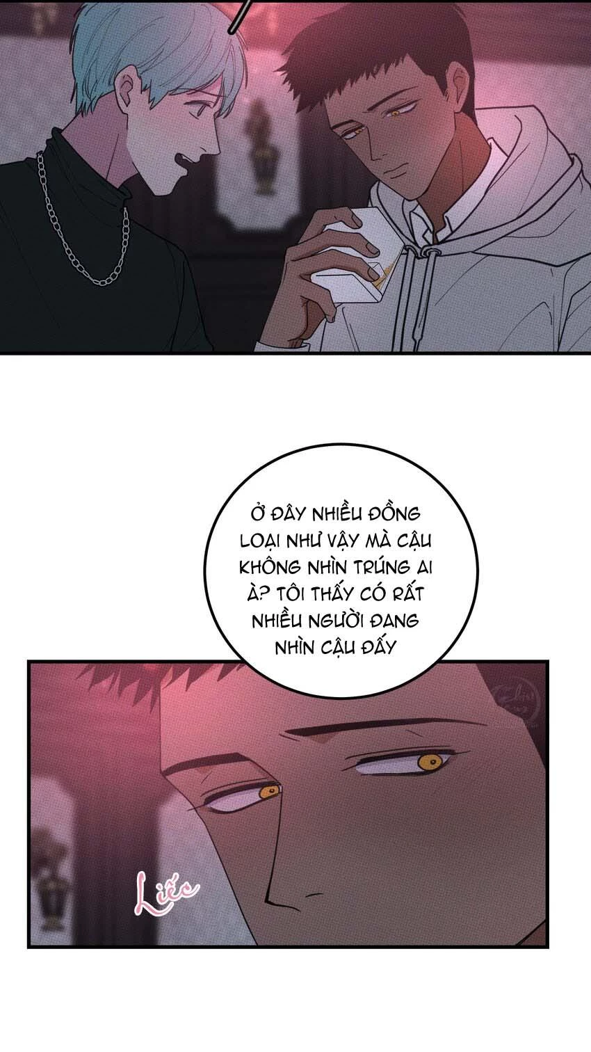 Hộp Bánh Quy Định Mệnh Chapter 26 - 6