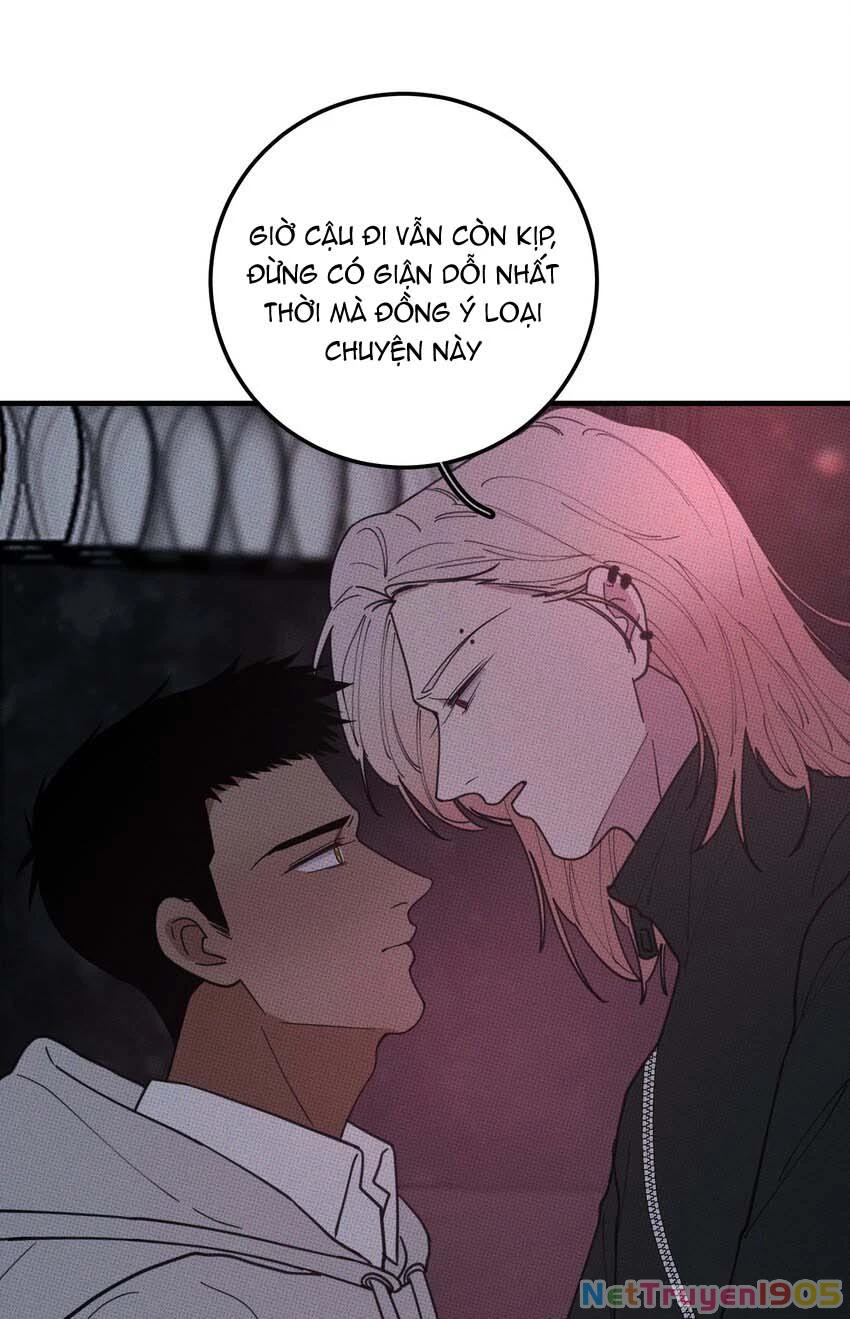 Hộp Bánh Quy Định Mệnh Chapter 26 - 32