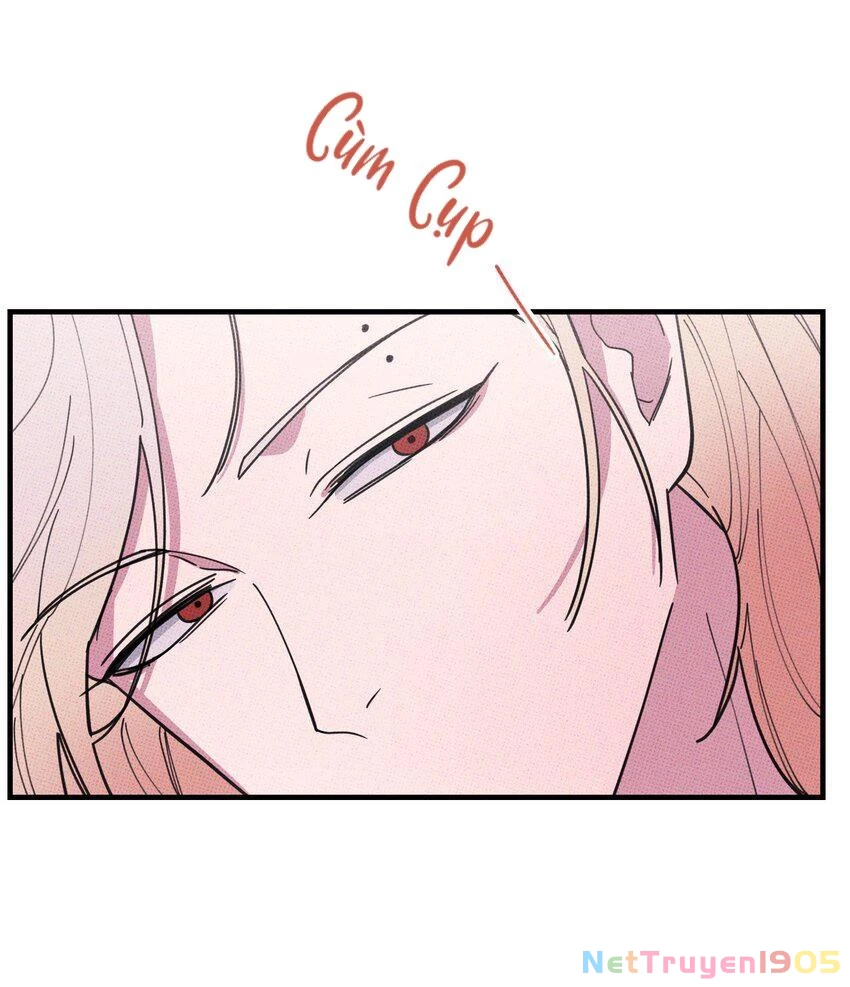 Hộp Bánh Quy Định Mệnh Chapter 27 - 5