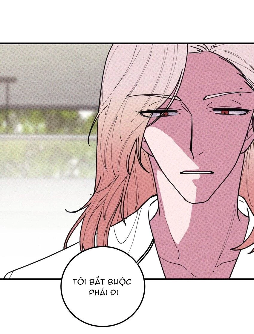 Hộp Bánh Quy Định Mệnh Chapter 27 - 10