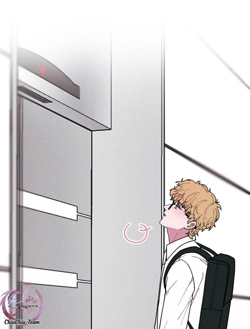 Hộp Bánh Quy Định Mệnh Chapter 27 - 14