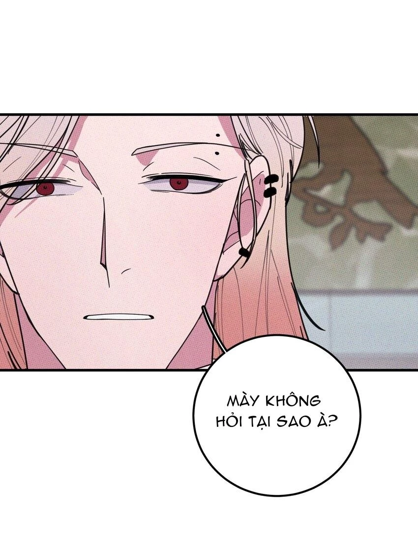 Hộp Bánh Quy Định Mệnh Chapter 28 - 21