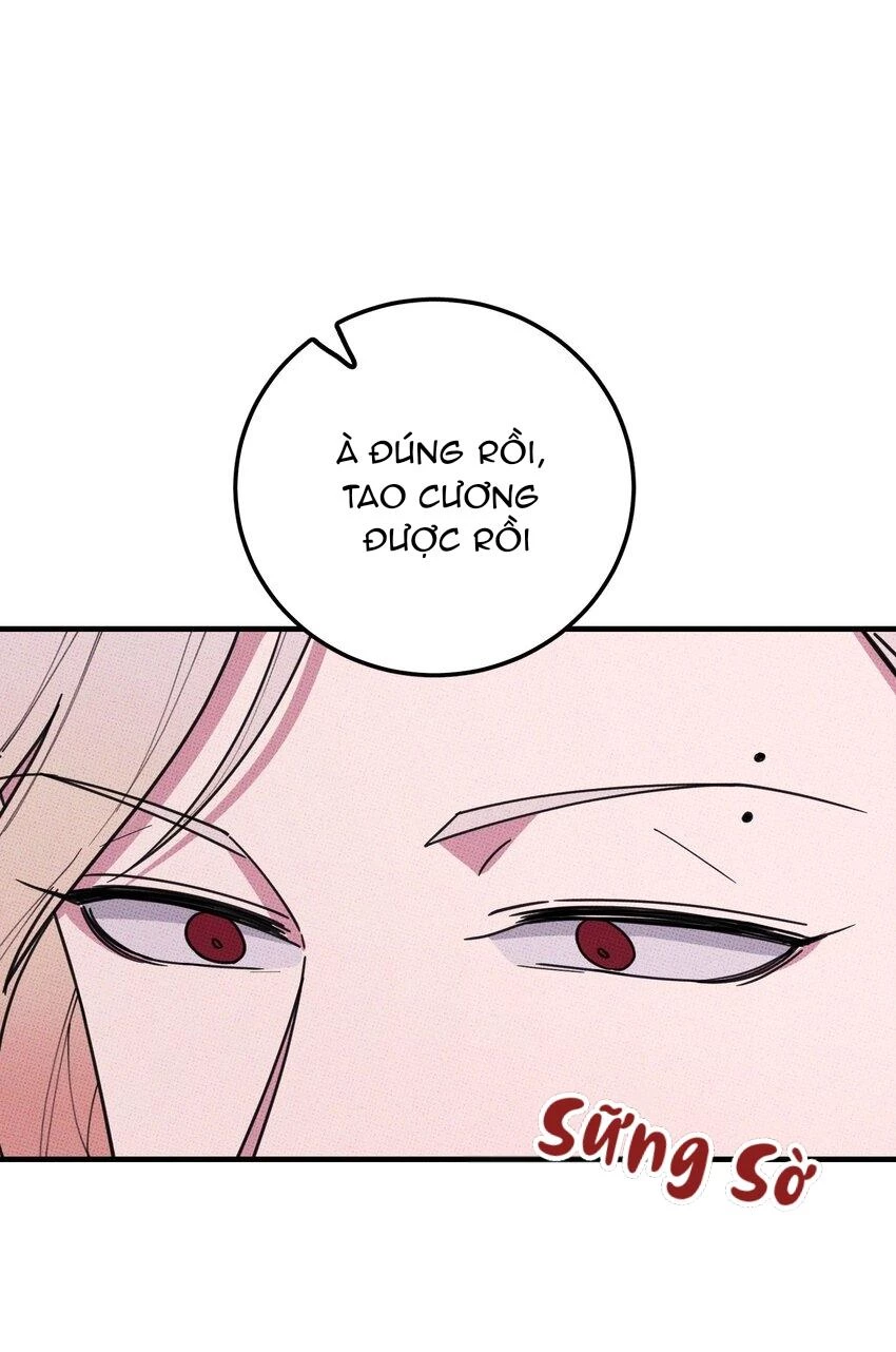 Hộp Bánh Quy Định Mệnh Chapter 28 - 24