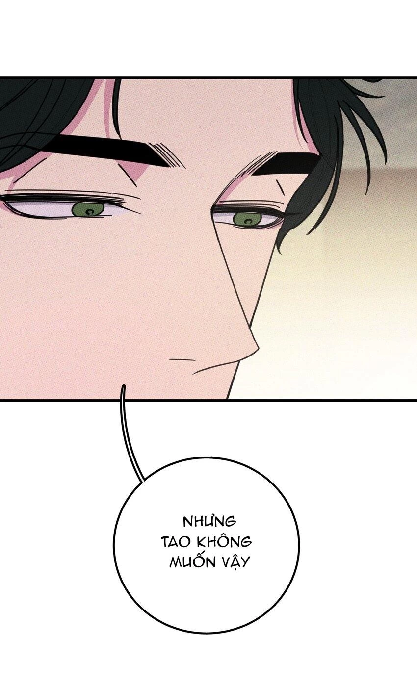 Hộp Bánh Quy Định Mệnh Chapter 28 - 29