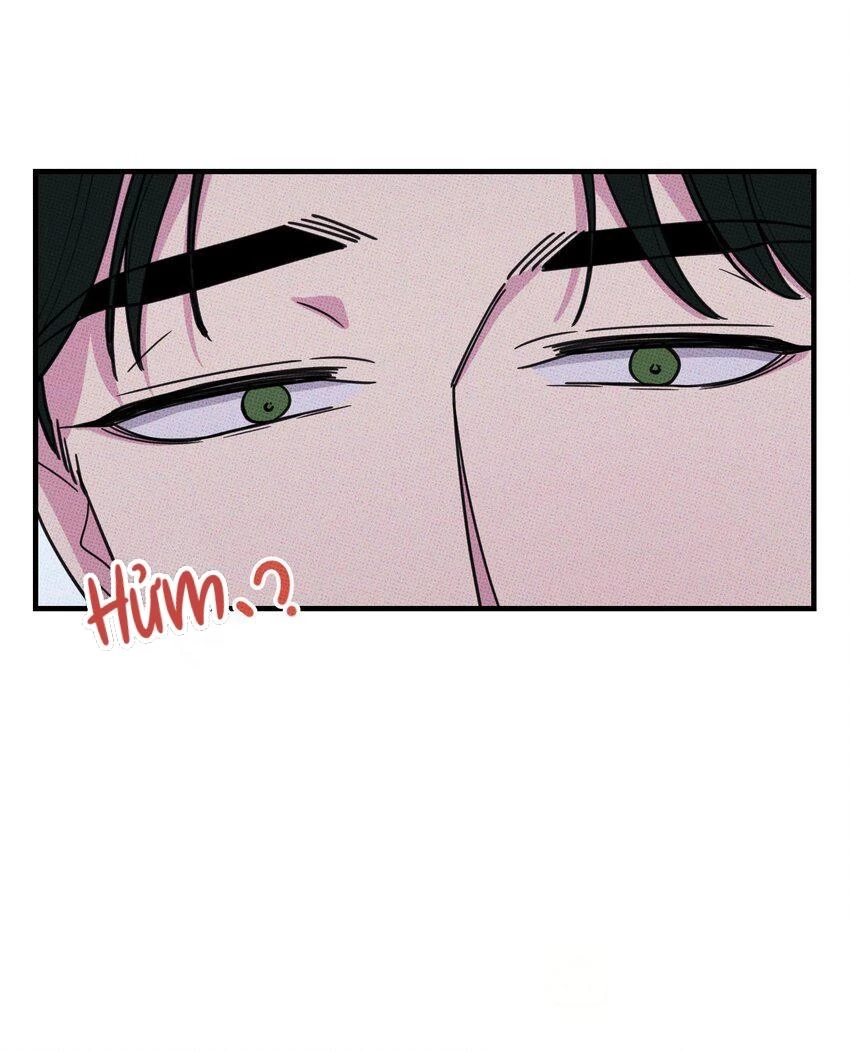 Hộp Bánh Quy Định Mệnh Chapter 29 - 15