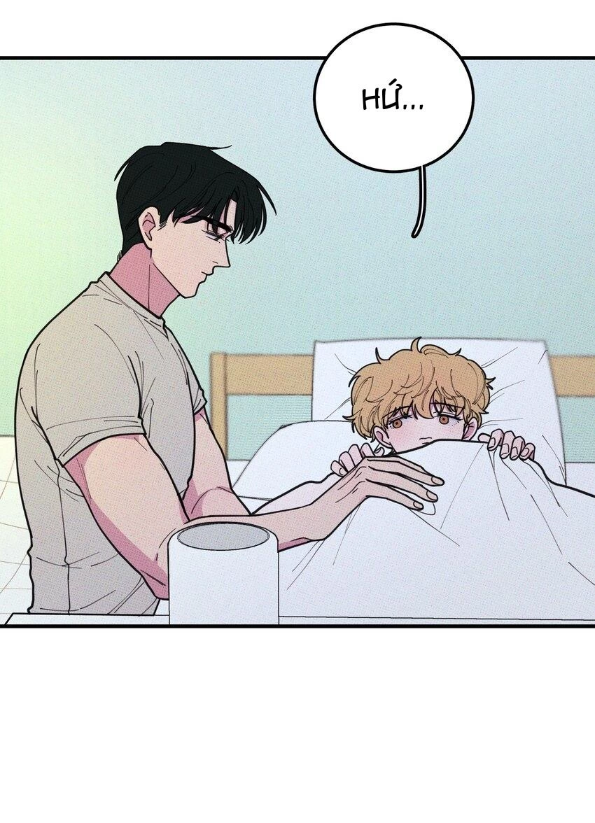 Hộp Bánh Quy Định Mệnh Chapter 29 - 16