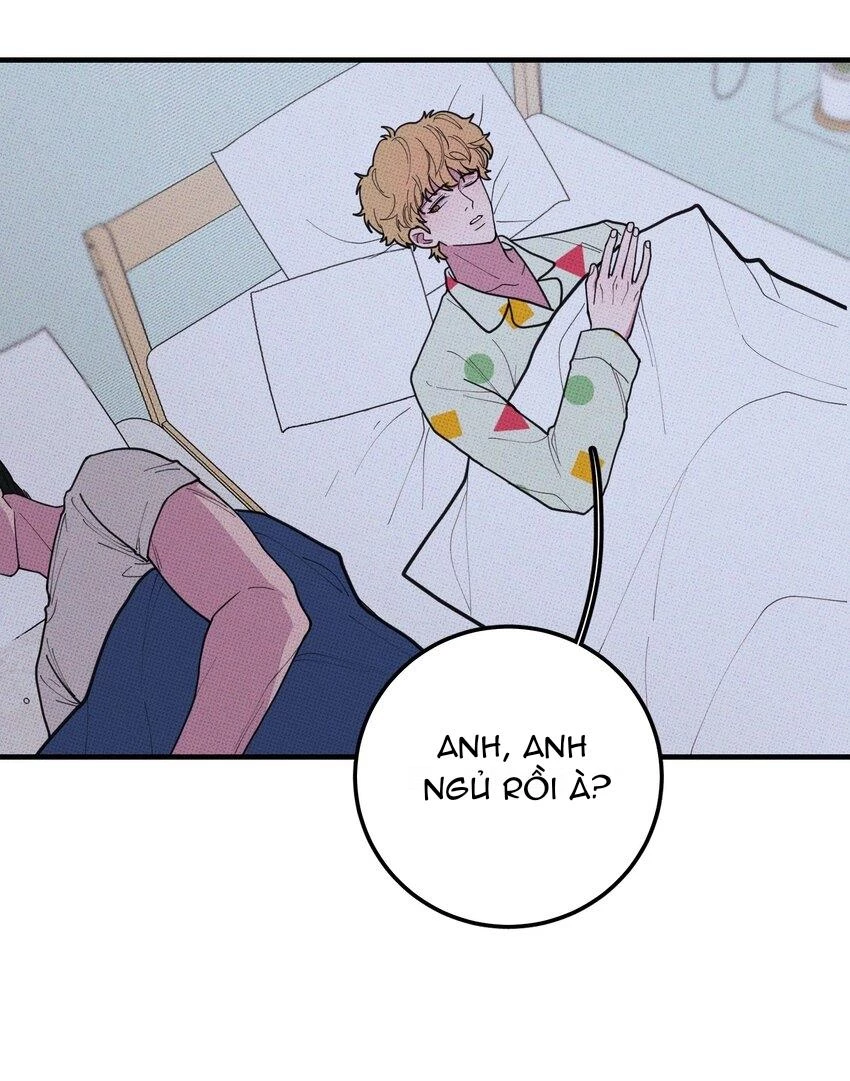 Hộp Bánh Quy Định Mệnh Chapter 29 - 19