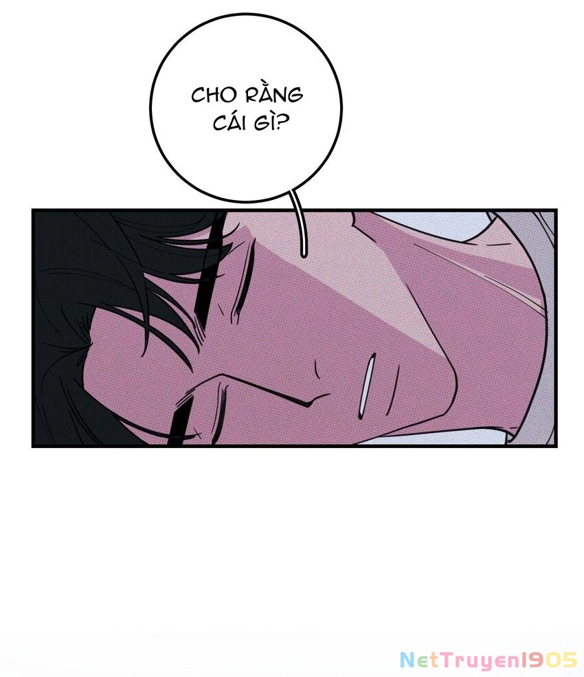 Hộp Bánh Quy Định Mệnh Chapter 29 - 25