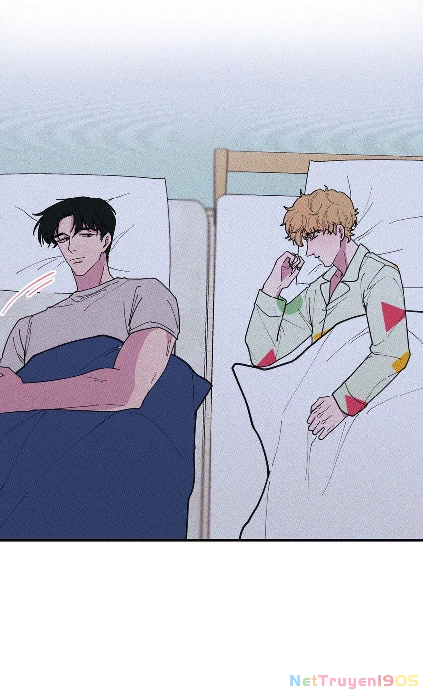 Hộp Bánh Quy Định Mệnh Chapter 29 - 26