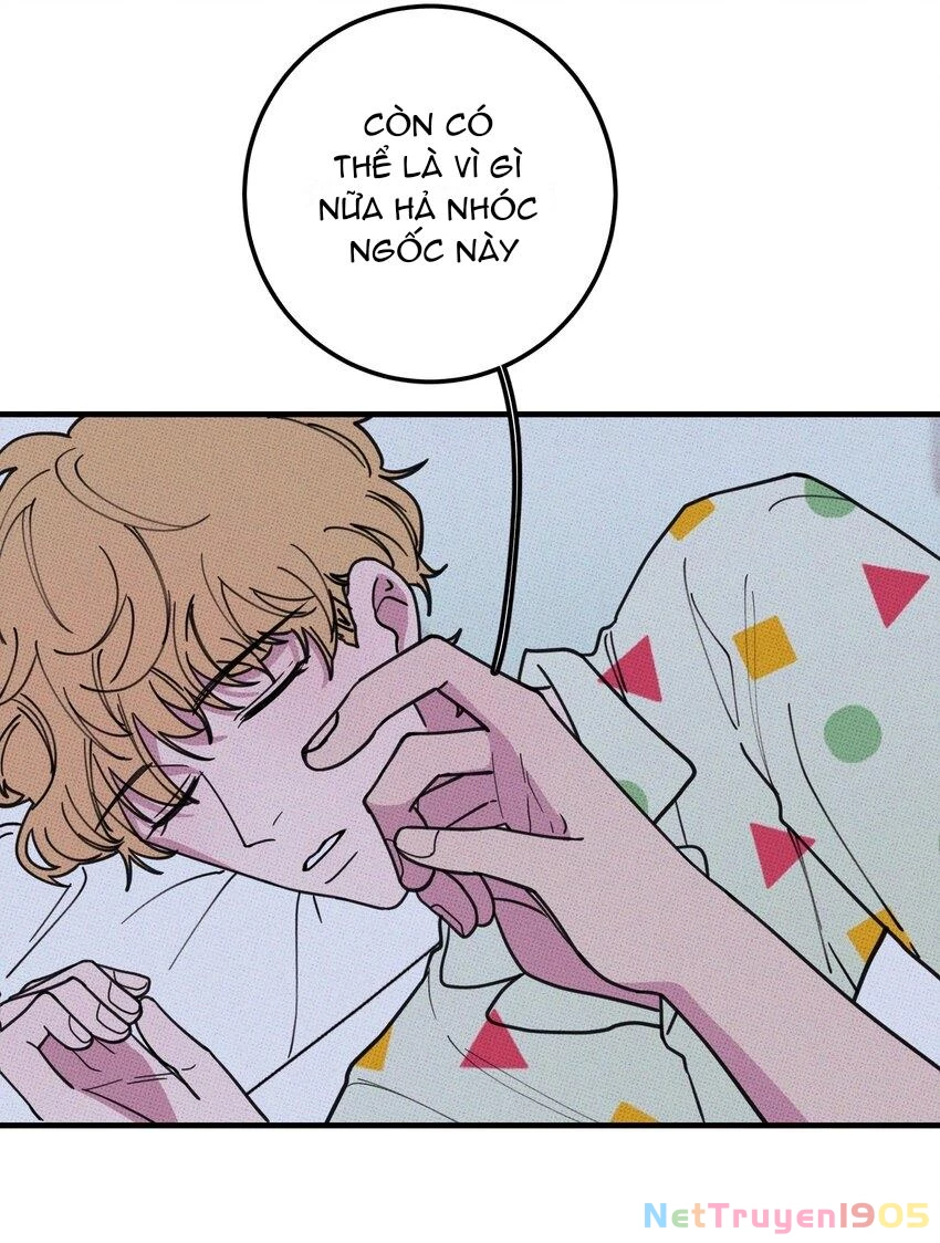 Hộp Bánh Quy Định Mệnh Chapter 29 - 28