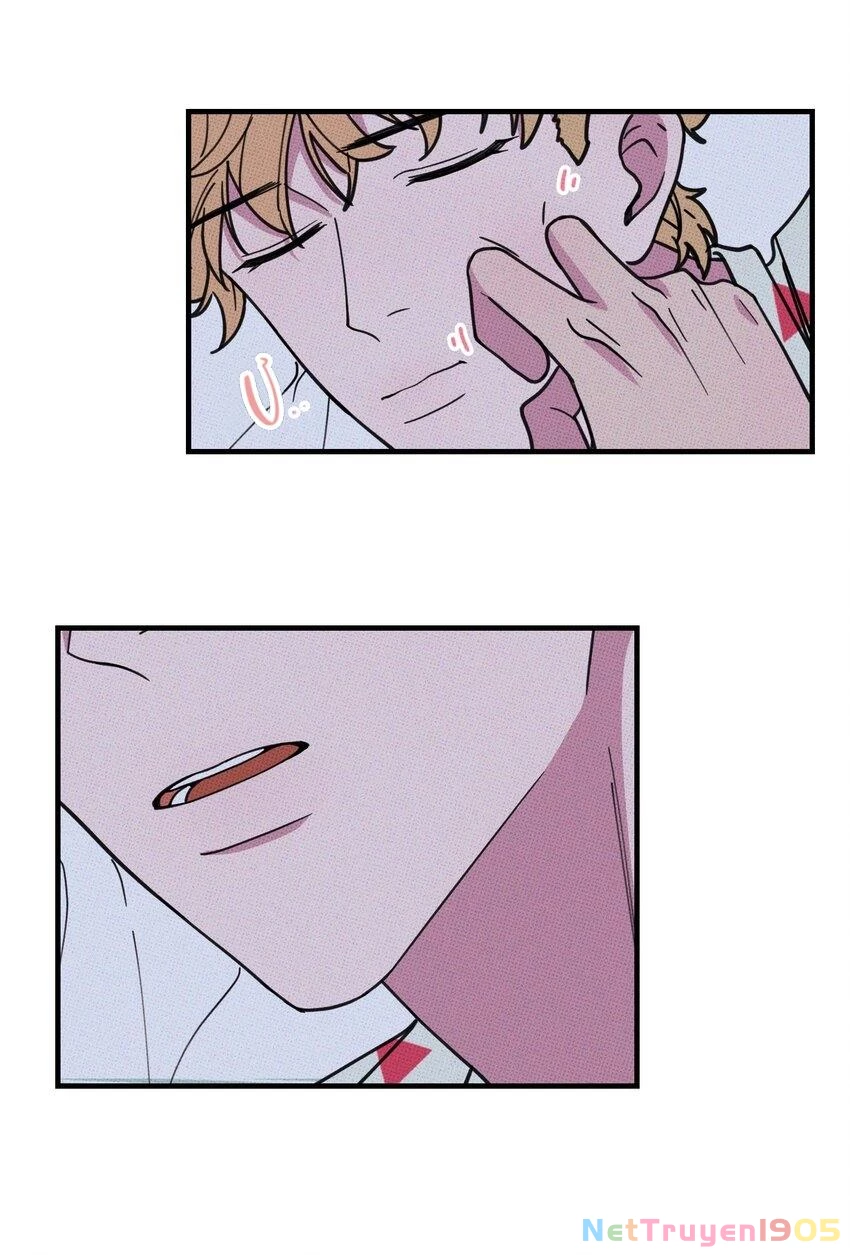 Hộp Bánh Quy Định Mệnh Chapter 29 - 29