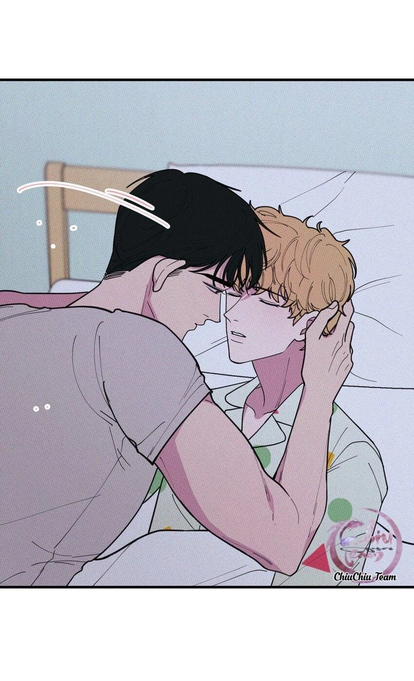 Hộp Bánh Quy Định Mệnh Chapter 29 - 30