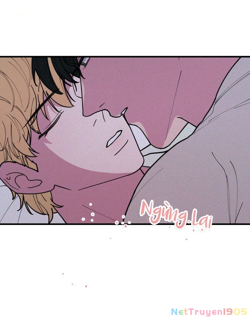 Hộp Bánh Quy Định Mệnh Chapter 29 - 31