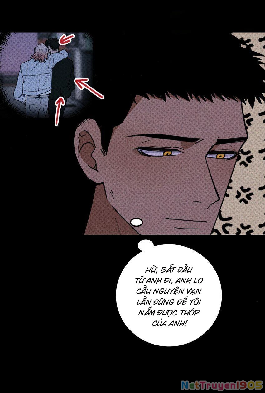 Hộp Bánh Quy Định Mệnh Chapter 29 - 35