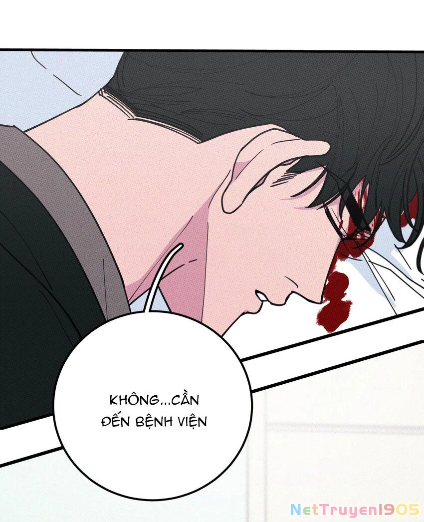 Hộp Bánh Quy Định Mệnh Chapter 32 - 3