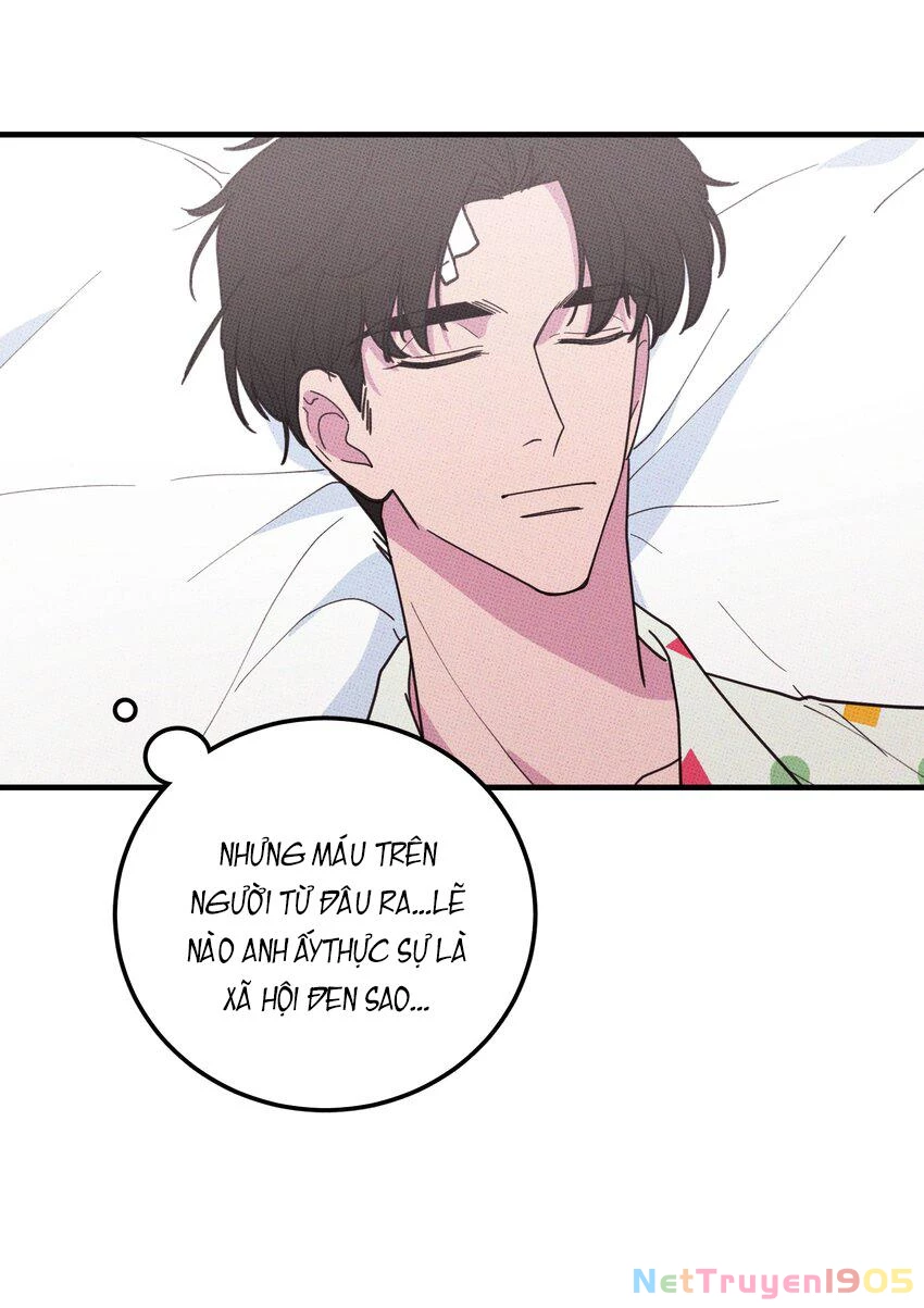 Hộp Bánh Quy Định Mệnh Chapter 32 - 45