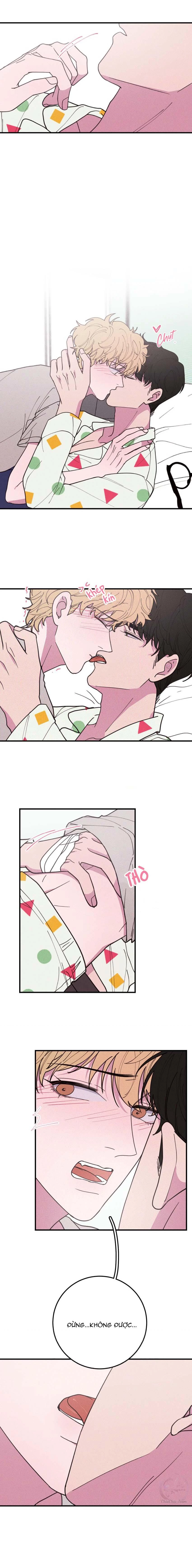 Hộp Bánh Quy Định Mệnh Chapter 33 - 5